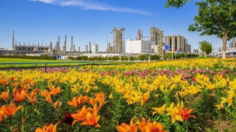 行业背景：化工原料的供应链优化